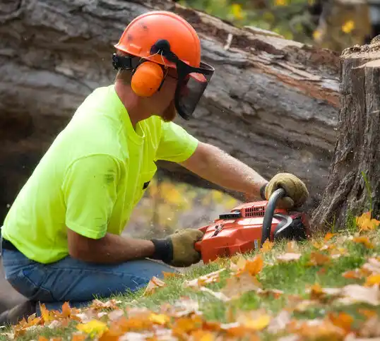 tree services Tucumcari